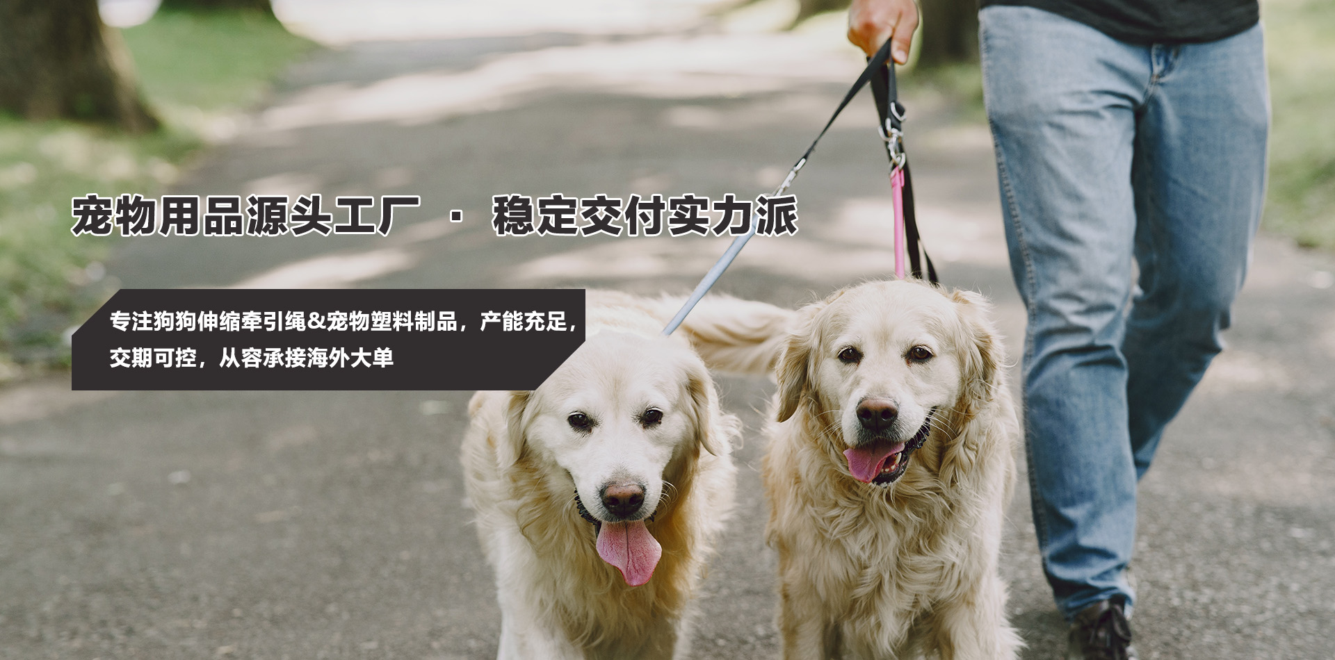 宁波天添宠物用品有限公司